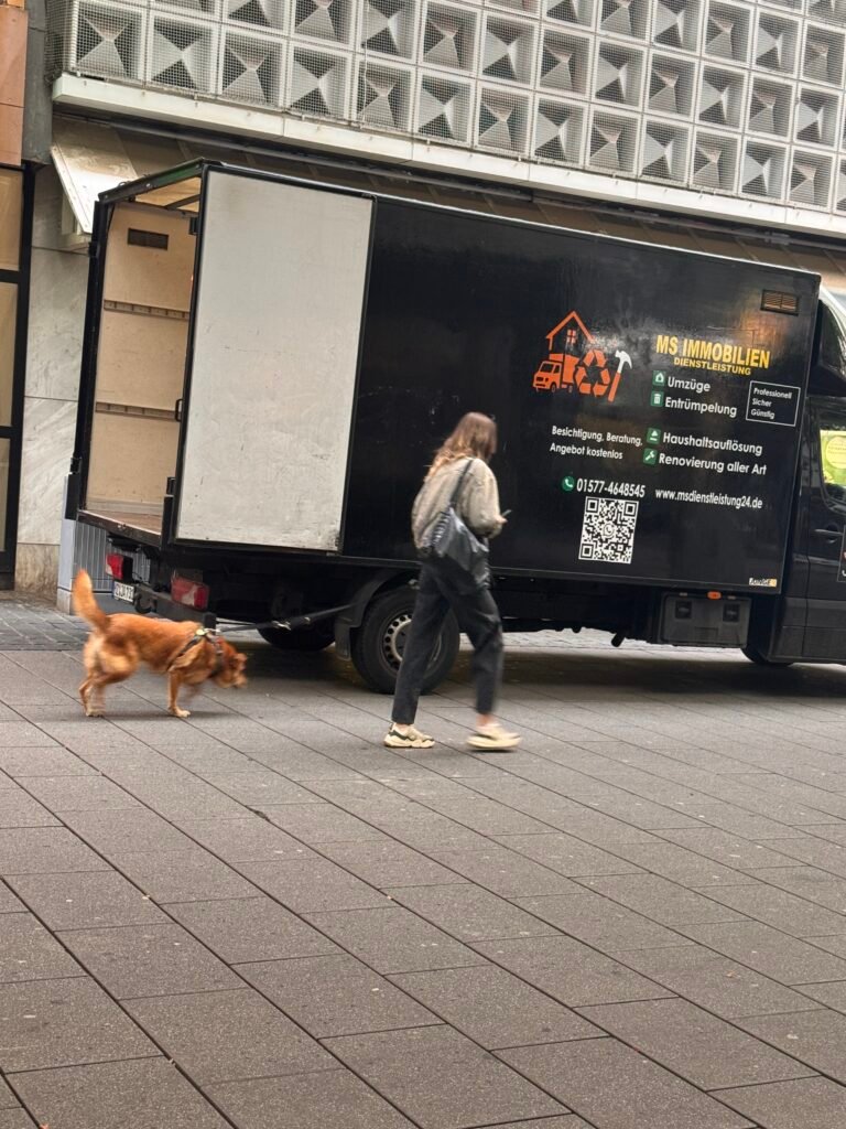 Rümpeloff Projektbild 17